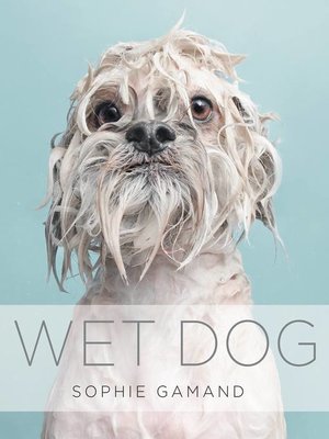 cover image of Wet Dog
